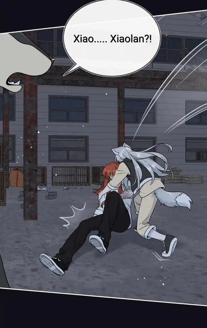 My Food Seems to Be Very Cute Ch.134