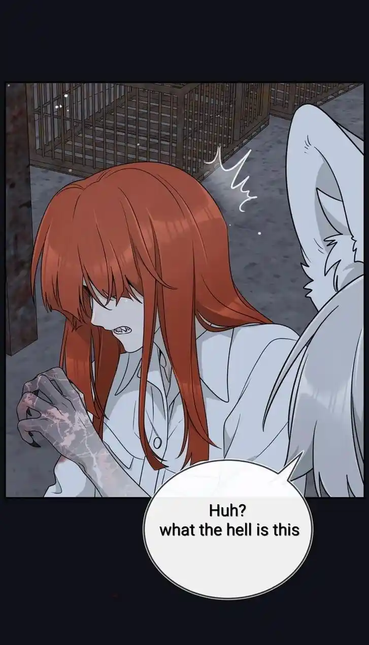 My Food Seems to Be Very Cute Ch.135