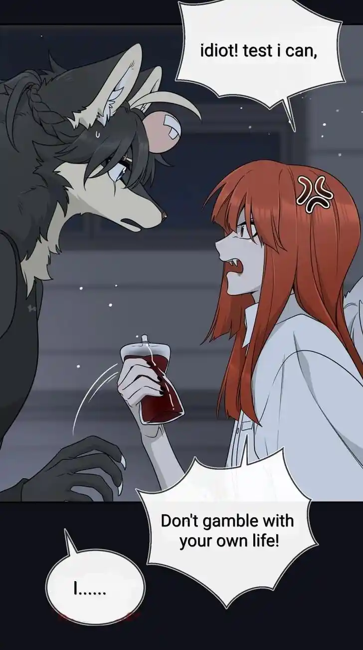 My Food Seems to Be Very Cute Ch.135