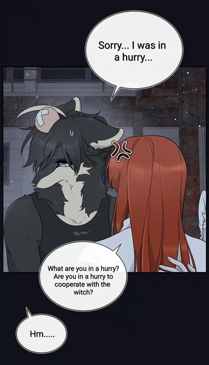 My Food Seems to Be Very Cute Ch.135