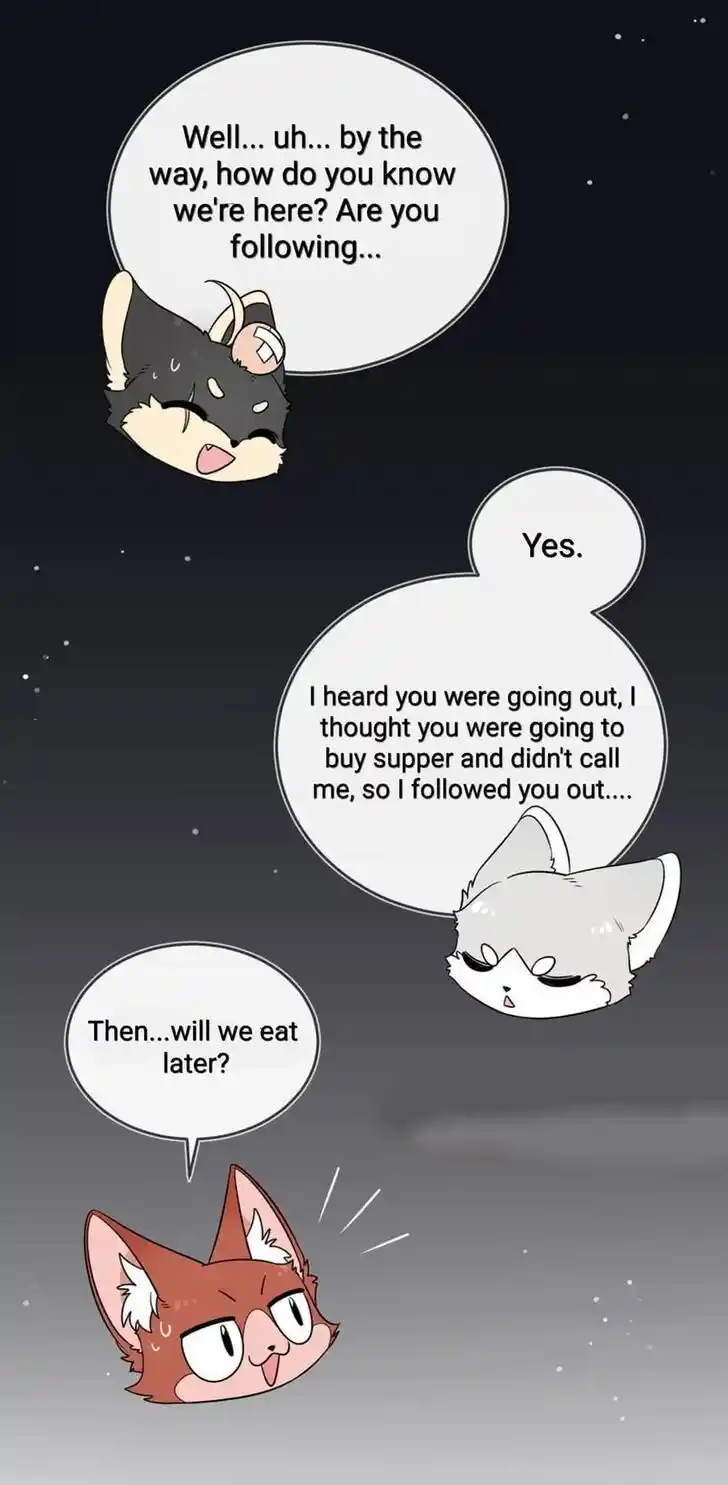 My Food Seems to Be Very Cute Ch.135