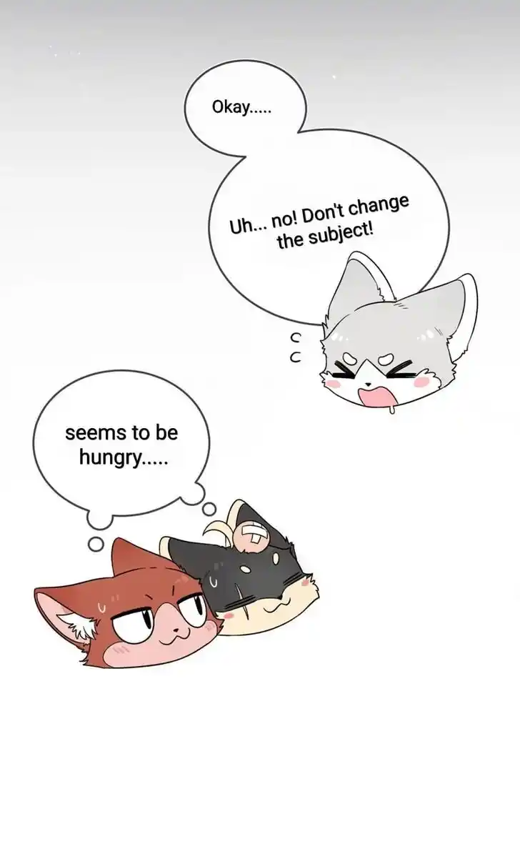 My Food Seems to Be Very Cute Ch.135