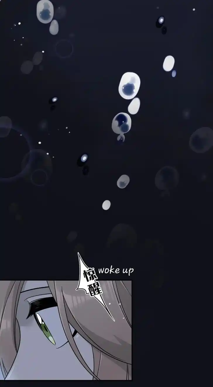 My Food Seems to Be Very Cute Ch.135