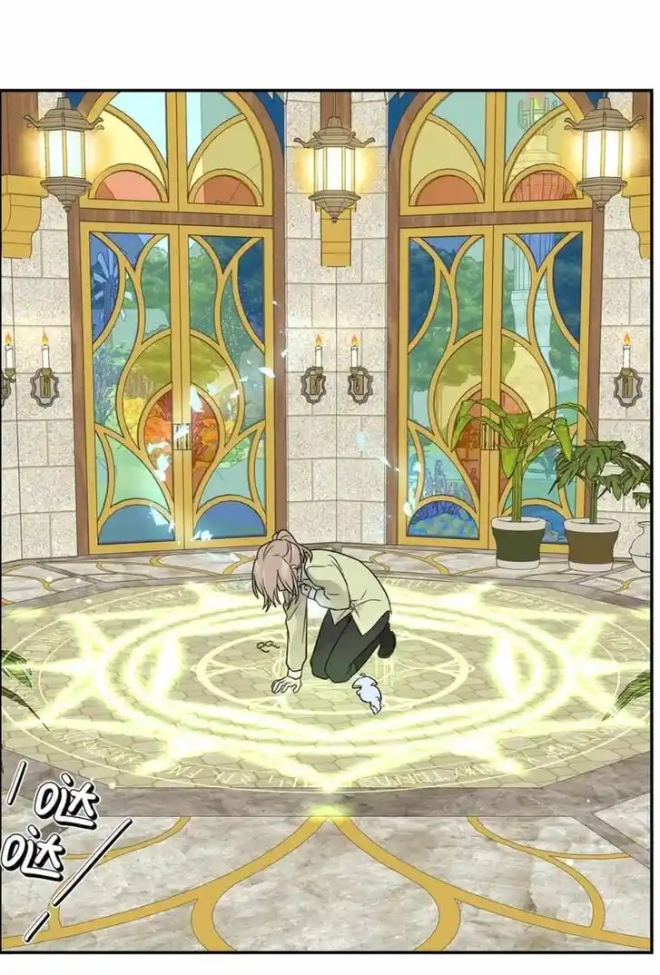 My Food Seems to Be Very Cute Ch.137