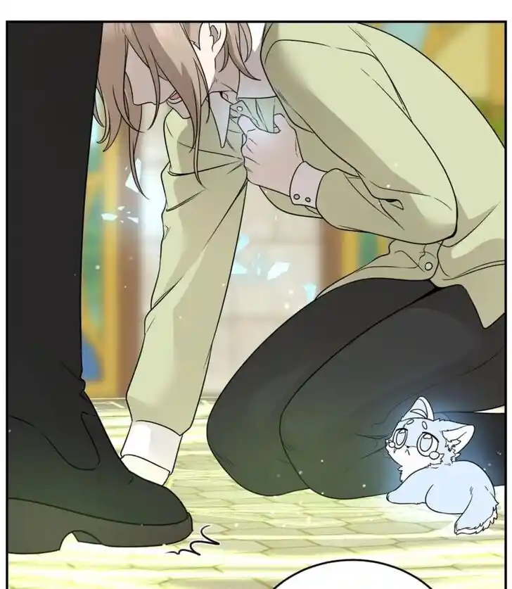 My Food Seems to Be Very Cute Ch.137