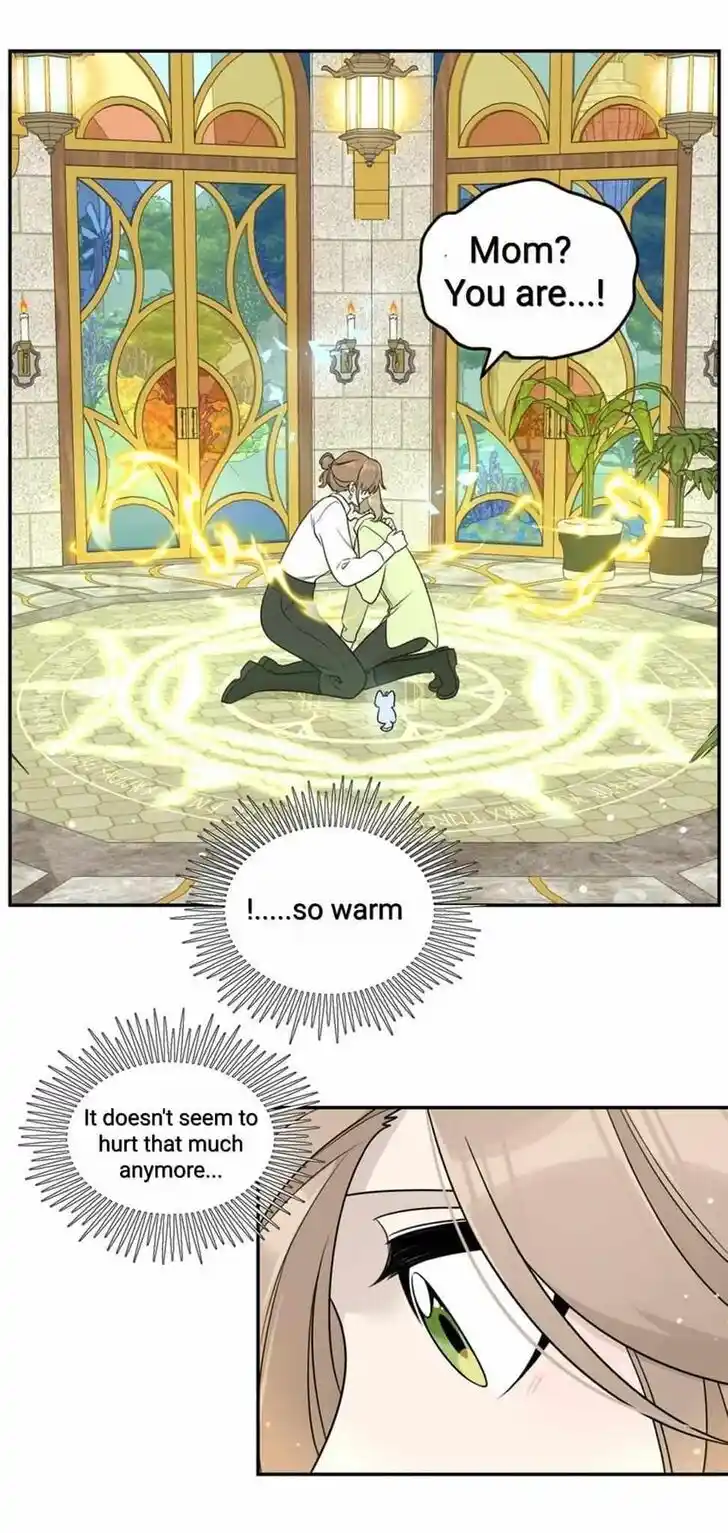 My Food Seems to Be Very Cute Ch.137