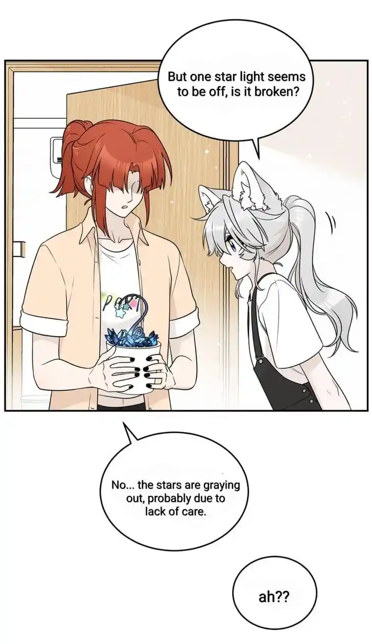 My Food Seems to Be Very Cute Ch.139