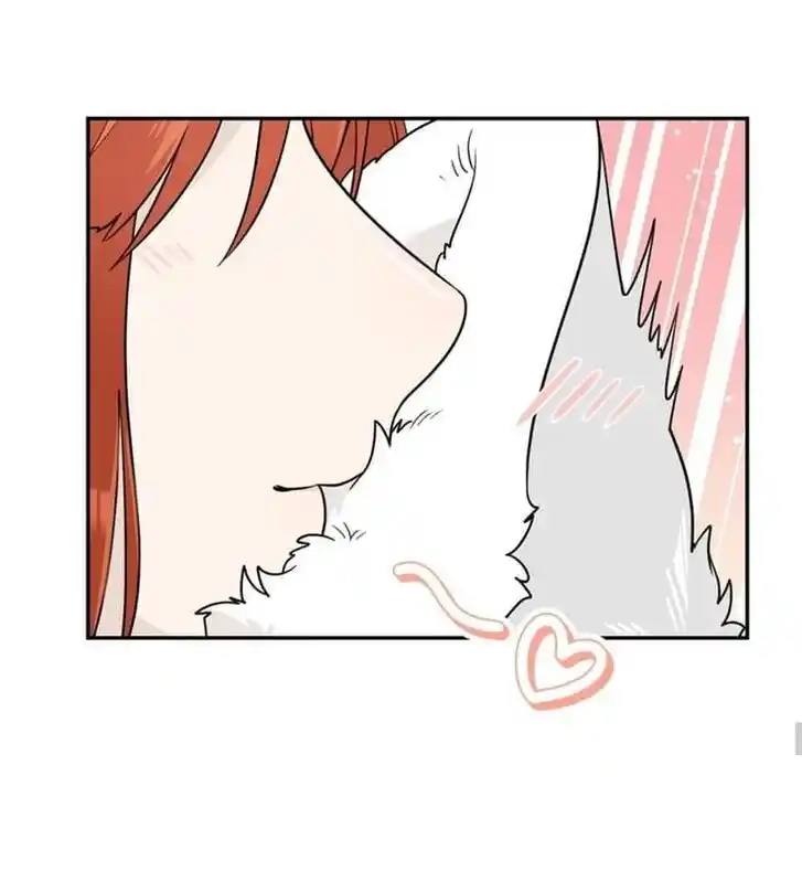 My Food Seems to Be Very Cute Ch.139