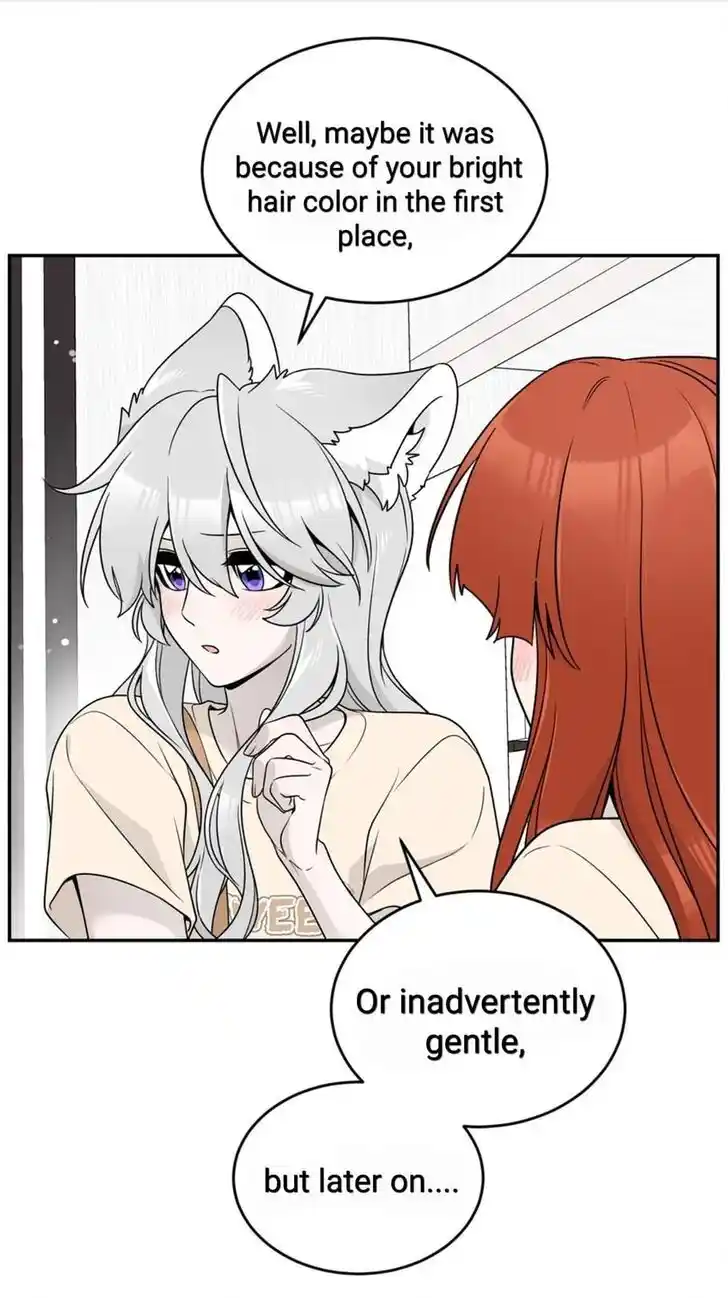 My Food Seems to Be Very Cute Ch.143