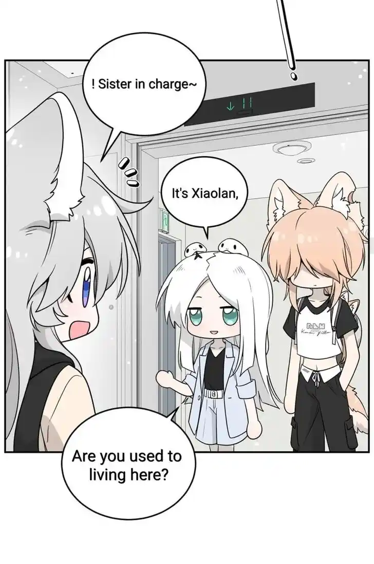 My Food Seems to Be Very Cute Ch.144