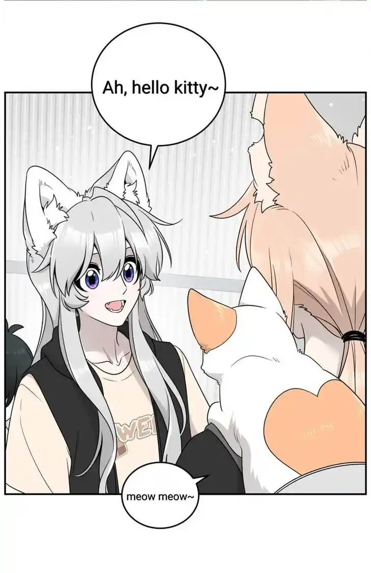 My Food Seems to Be Very Cute Ch.144