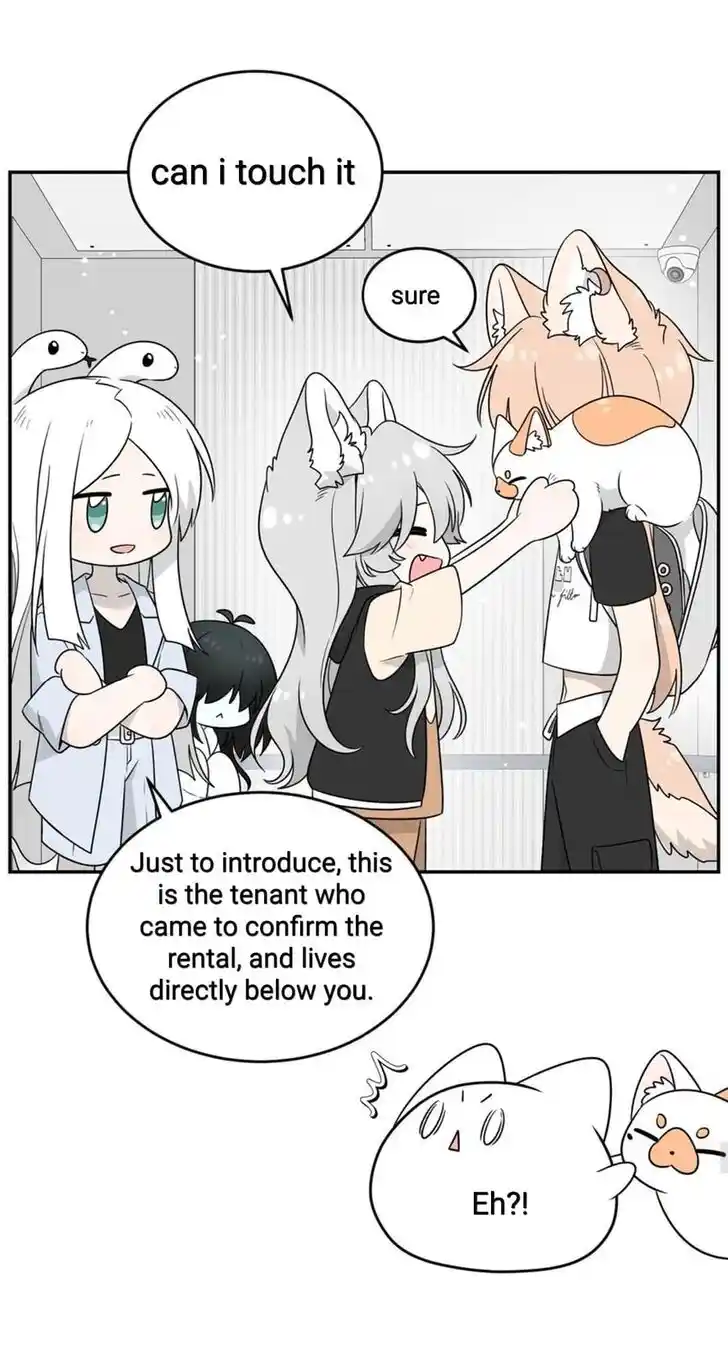 My Food Seems to Be Very Cute Ch.144
