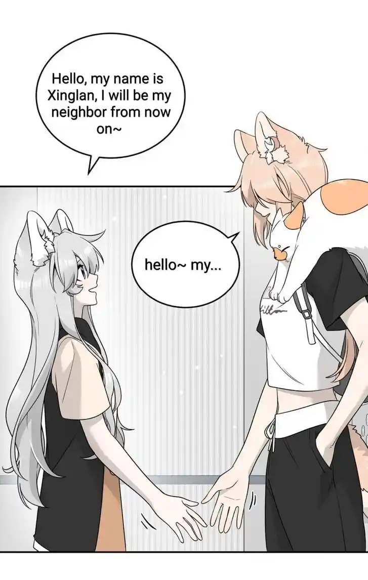 My Food Seems to Be Very Cute Ch.144