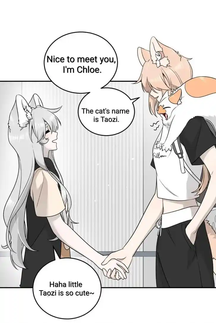 My Food Seems to Be Very Cute Ch.144