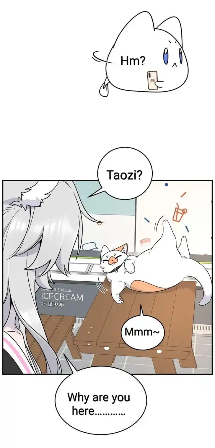 My Food Seems to Be Very Cute Ch.145