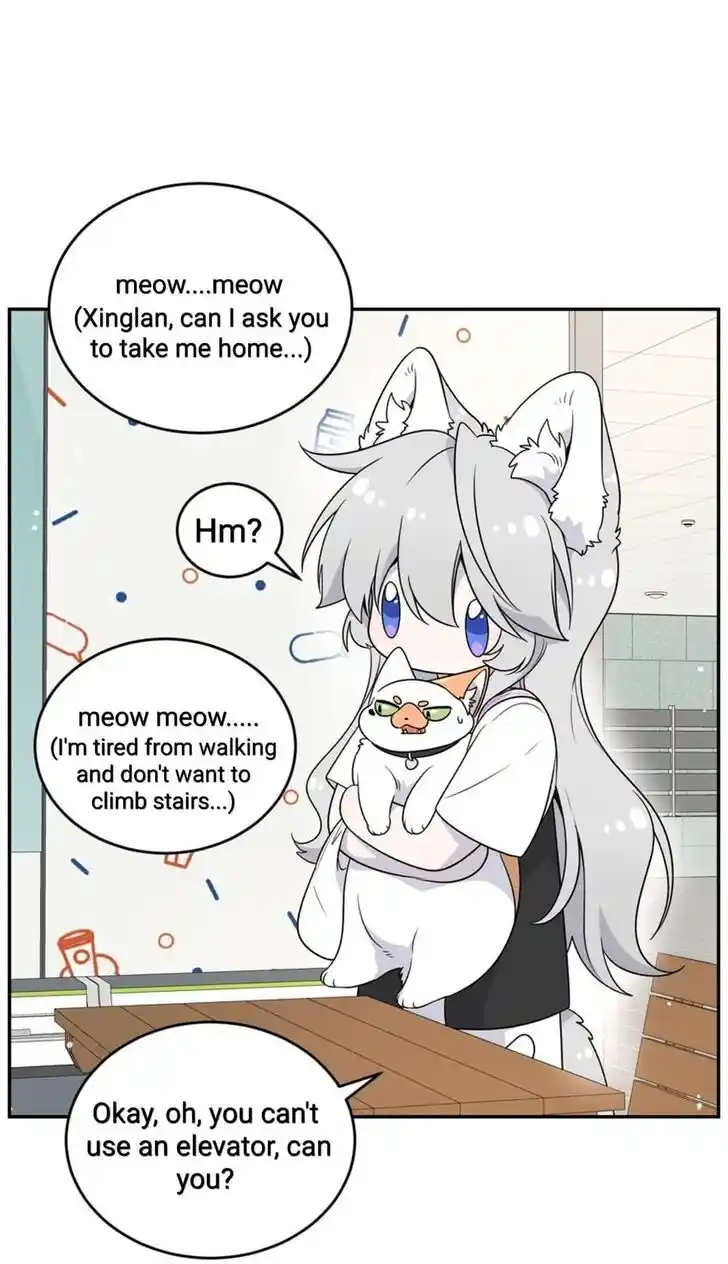My Food Seems to Be Very Cute Ch.145