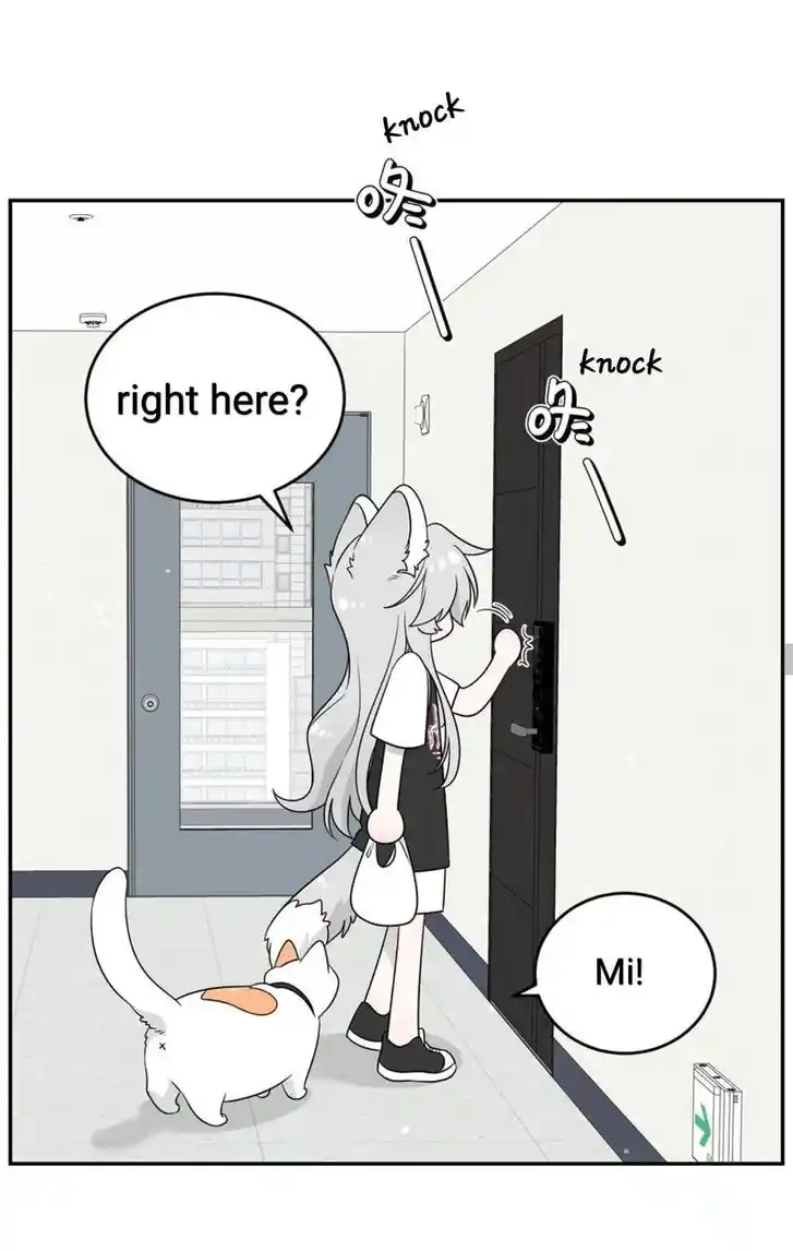 My Food Seems to Be Very Cute Ch.145