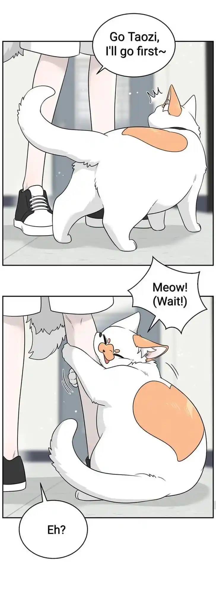 My Food Seems to Be Very Cute Ch.145