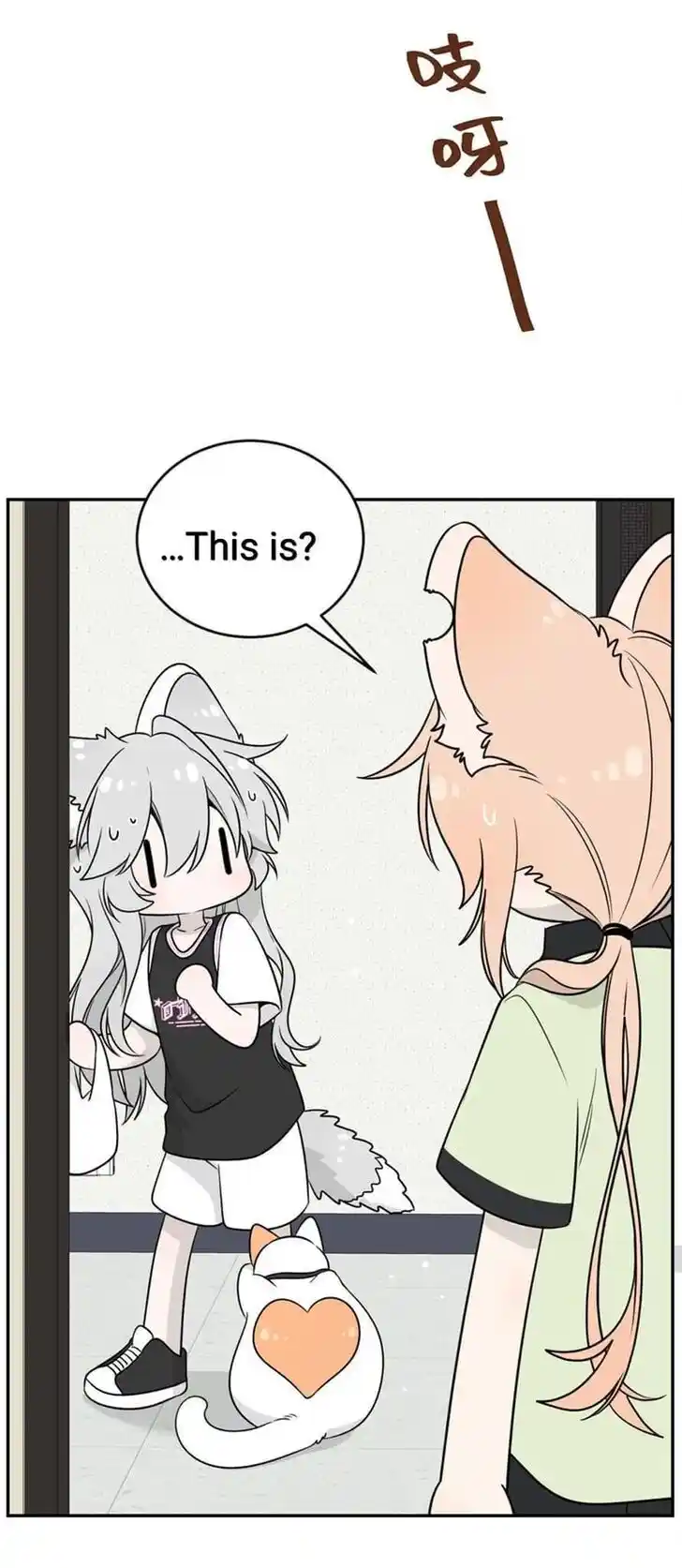 My Food Seems to Be Very Cute Ch.145