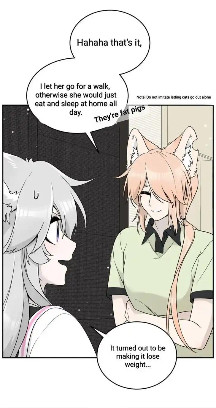 My Food Seems to Be Very Cute Ch.145