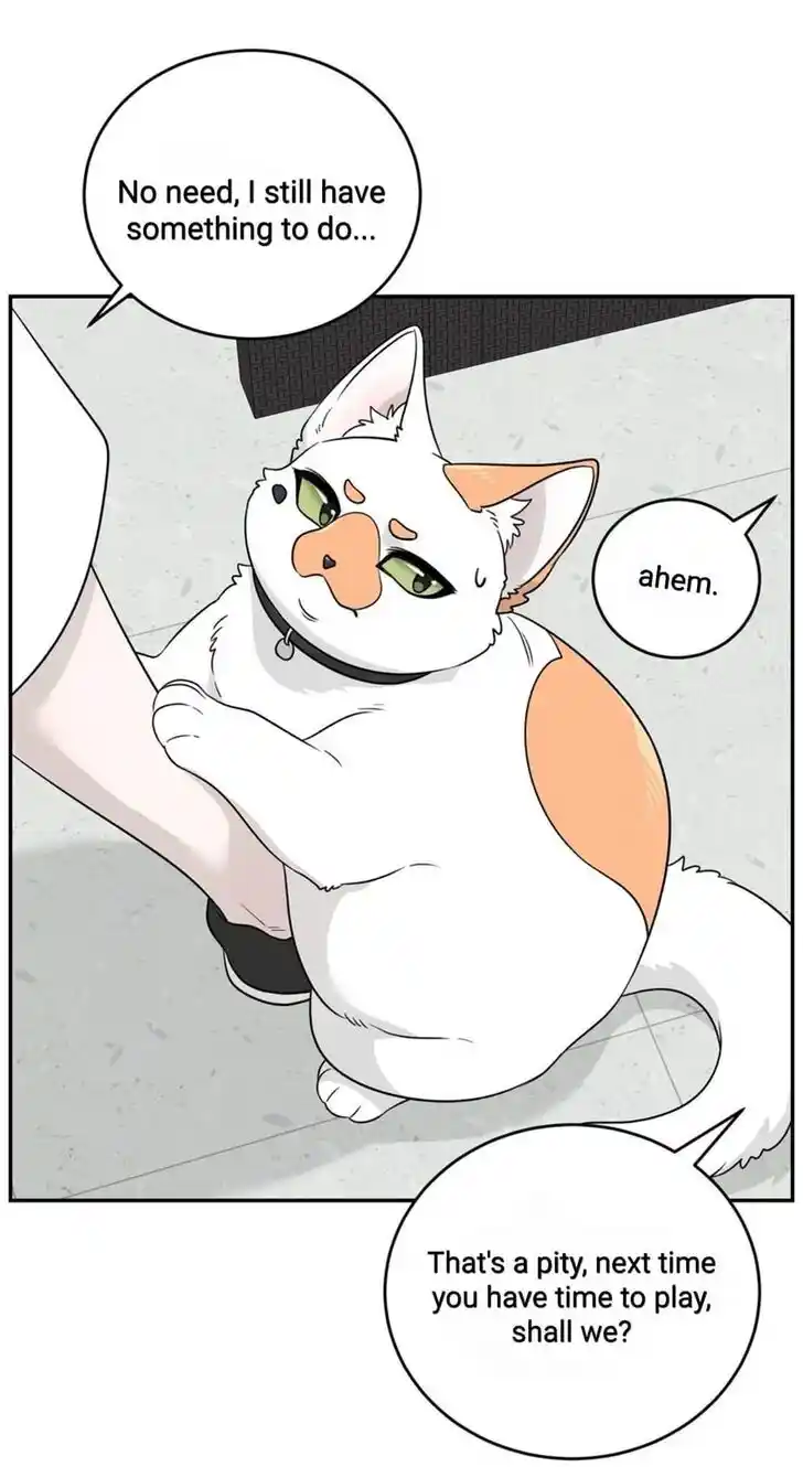 My Food Seems to Be Very Cute Ch.145