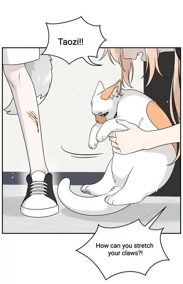 My Food Seems to Be Very Cute Ch.145