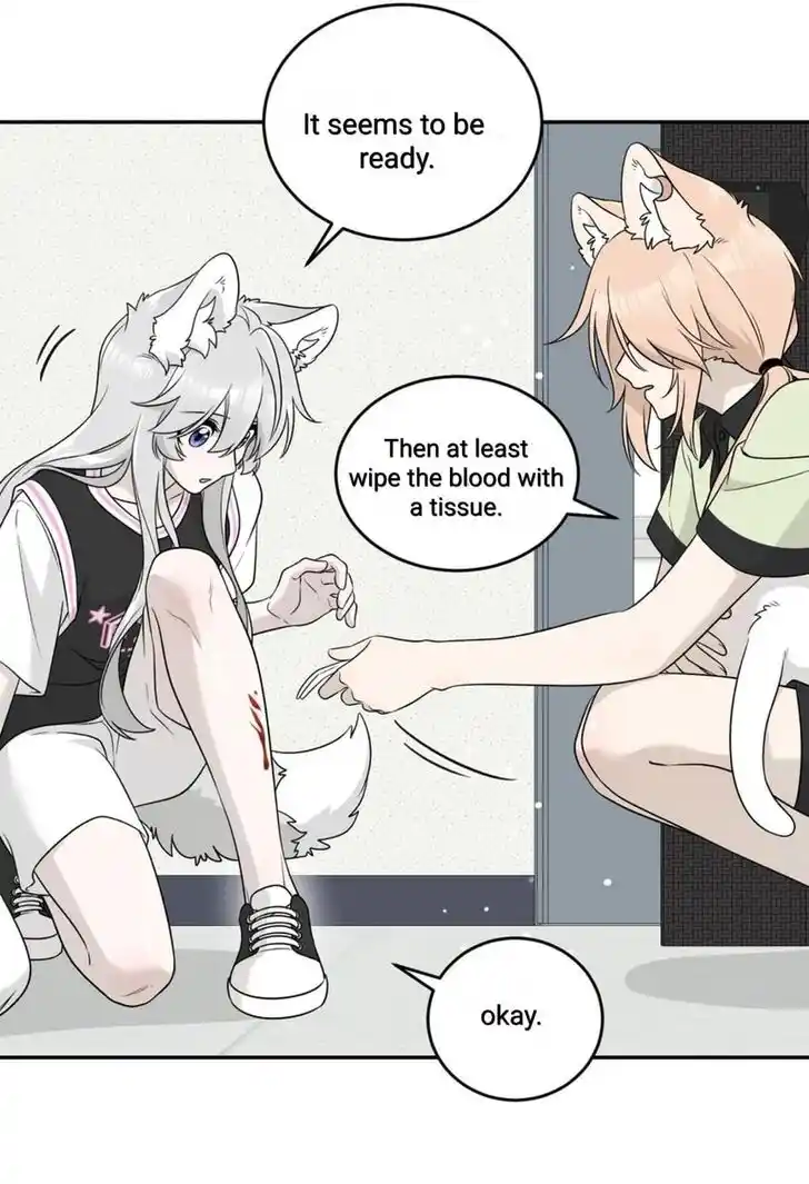 My Food Seems to Be Very Cute Ch.145