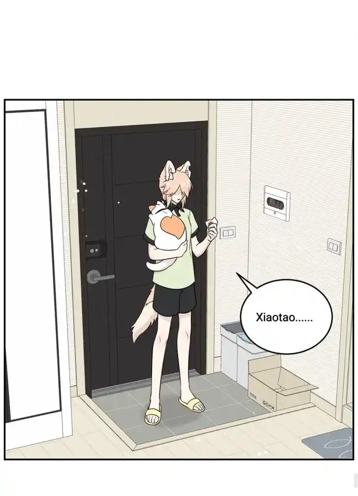 My Food Seems to Be Very Cute Ch.145