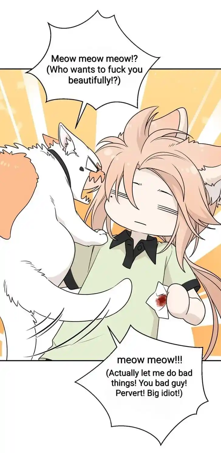 My Food Seems to Be Very Cute Ch.145