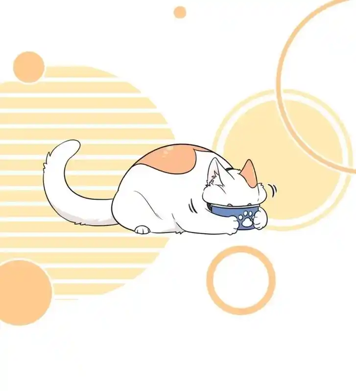 My Food Seems to Be Very Cute Ch.145