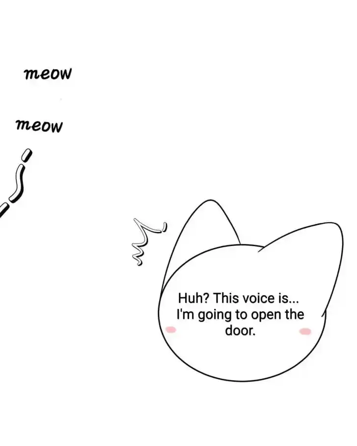 My Food Seems to Be Very Cute Ch.146