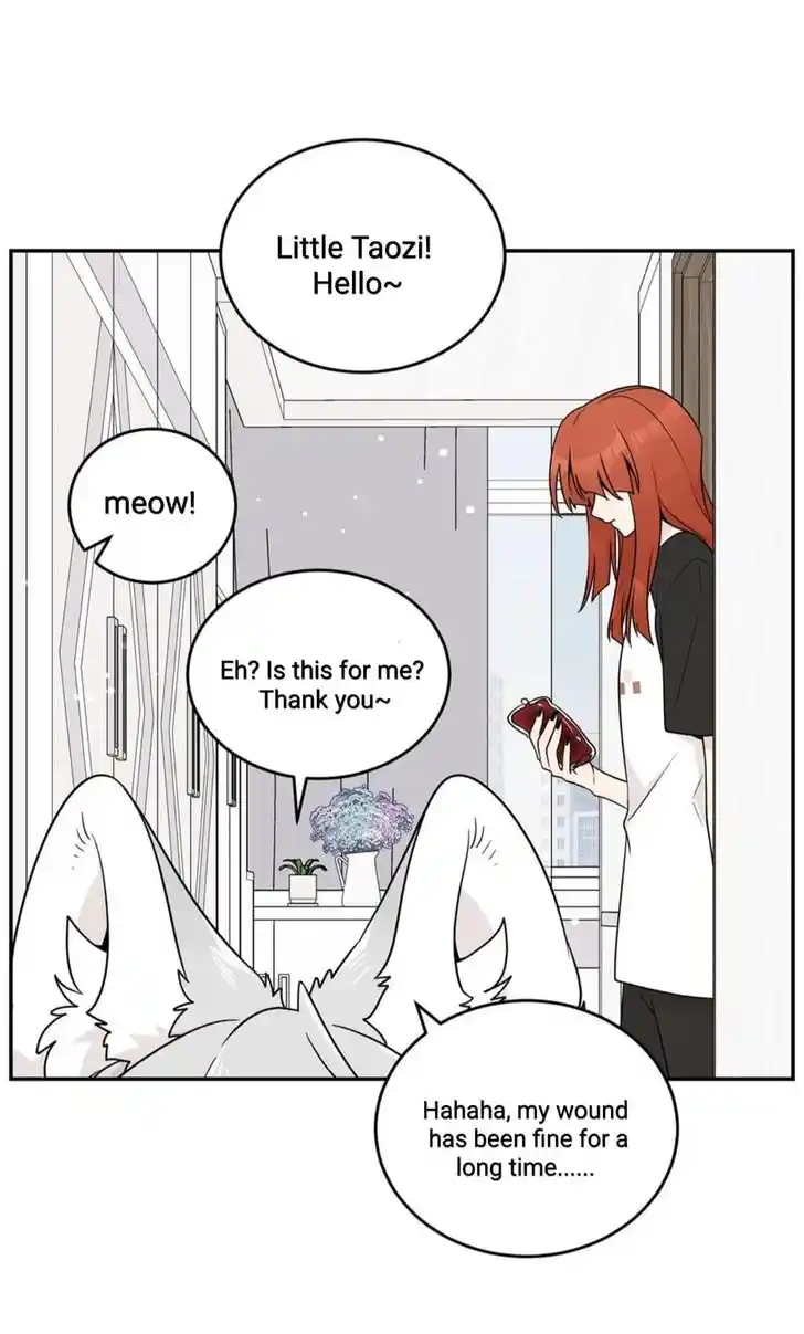 My Food Seems to Be Very Cute Ch.146