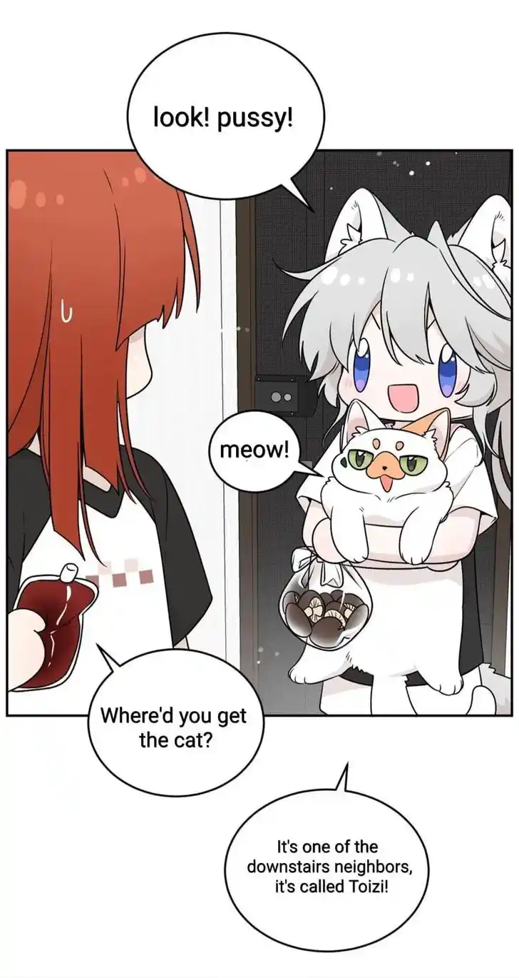My Food Seems to Be Very Cute Ch.146