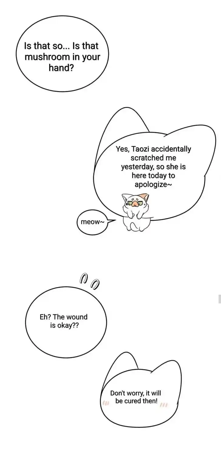 My Food Seems to Be Very Cute Ch.146