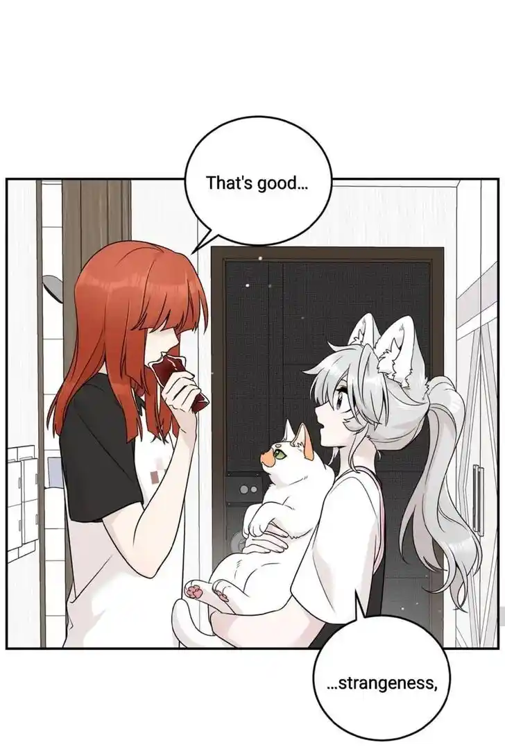 My Food Seems to Be Very Cute Ch.146