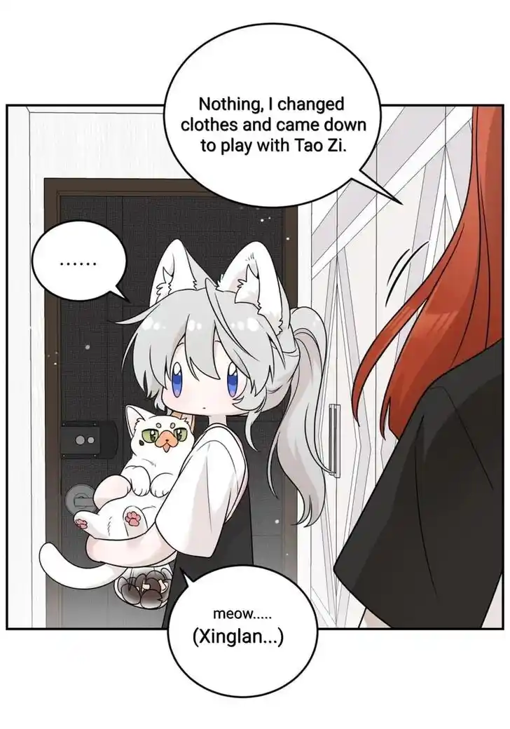 My Food Seems to Be Very Cute Ch.146