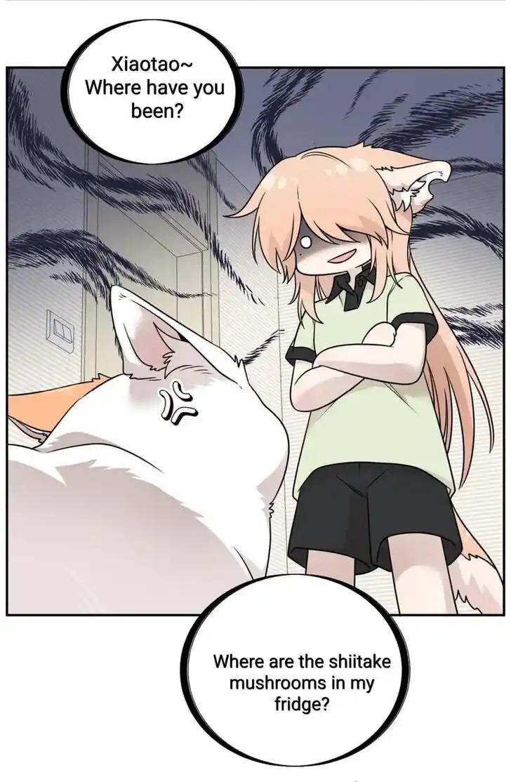 My Food Seems to Be Very Cute Ch.146