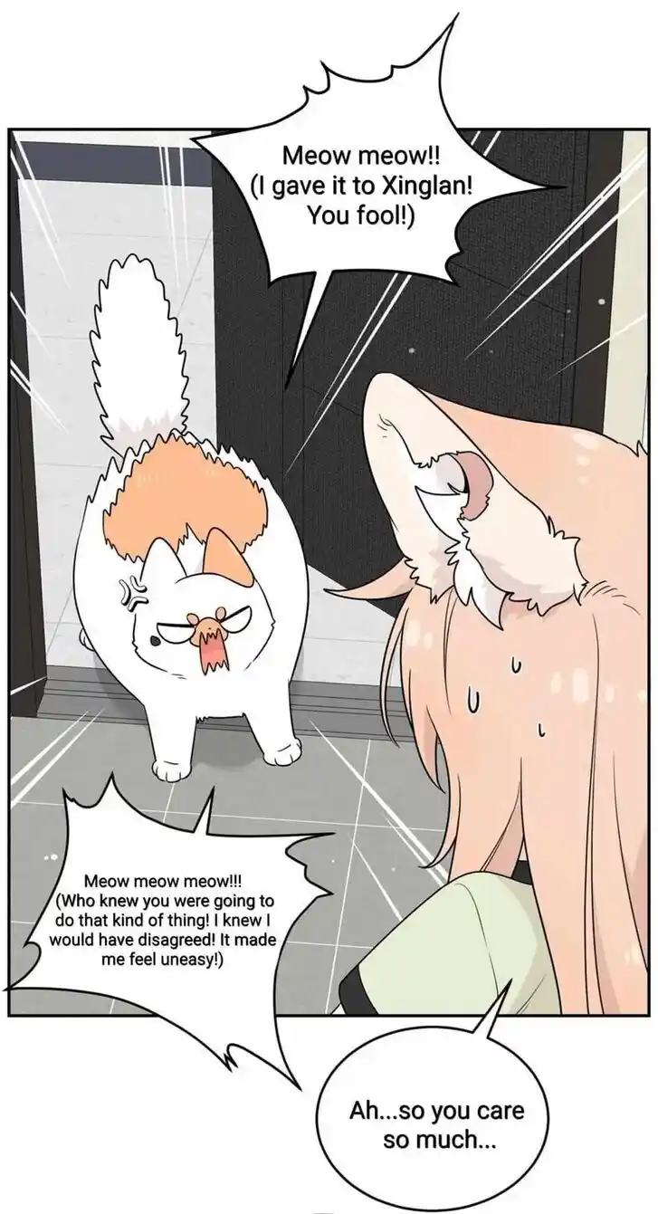 My Food Seems to Be Very Cute Ch.146