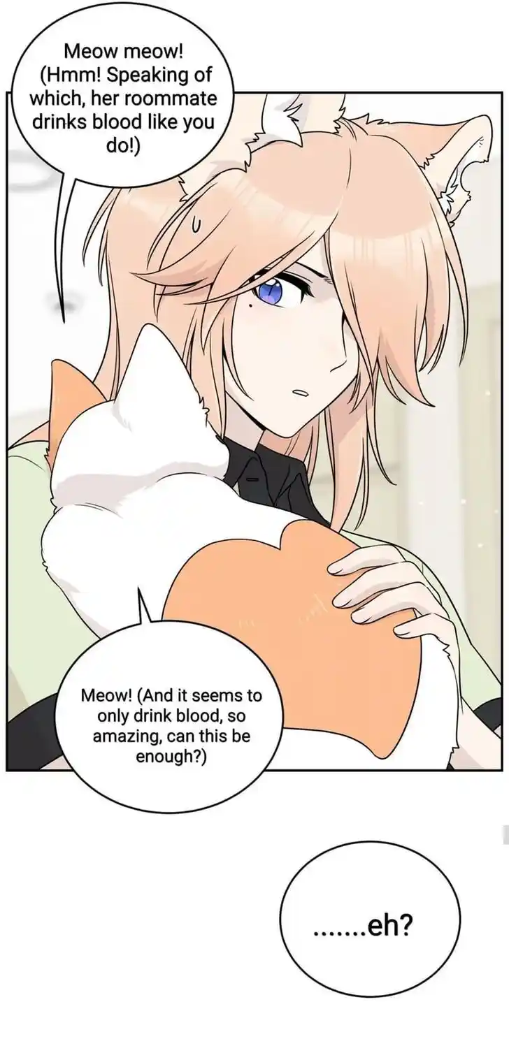 My Food Seems to Be Very Cute Ch.146