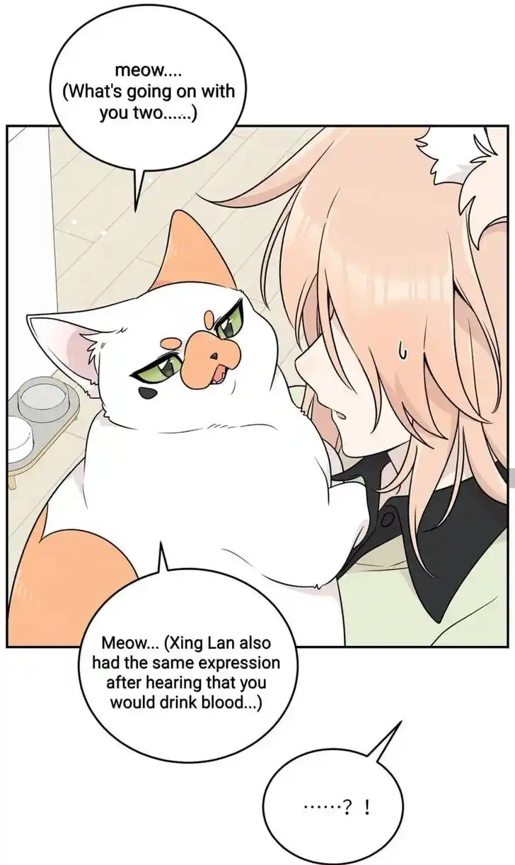 My Food Seems to Be Very Cute Ch.146