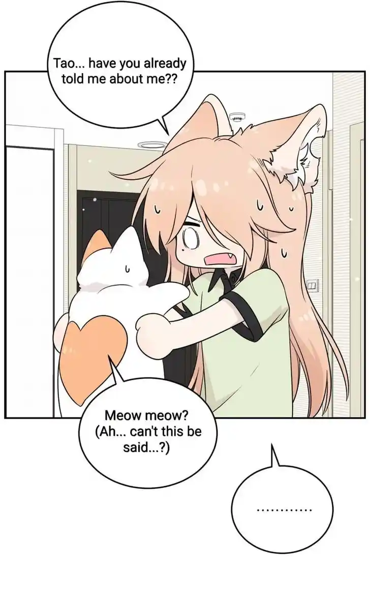 My Food Seems to Be Very Cute Ch.146