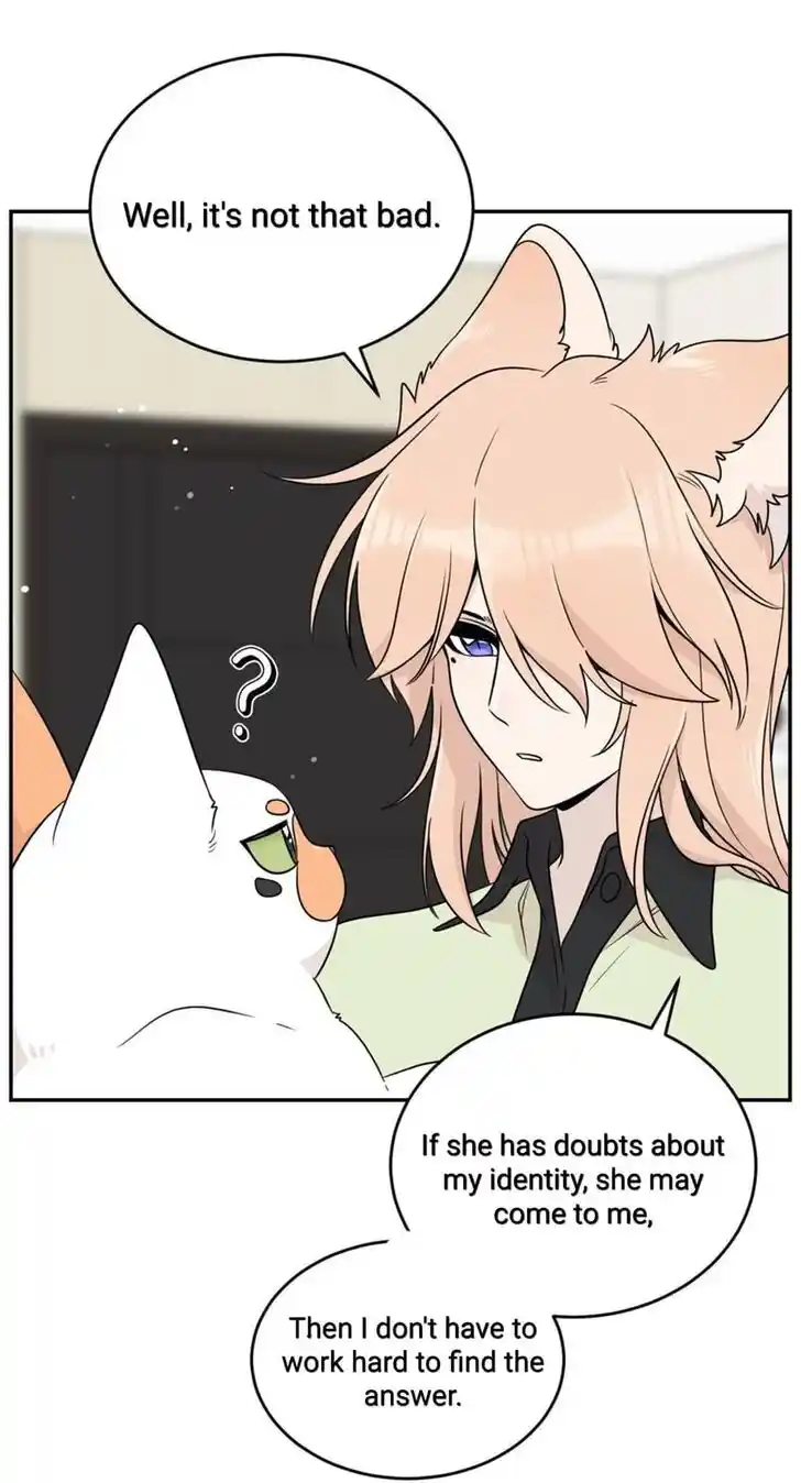 My Food Seems to Be Very Cute Ch.146