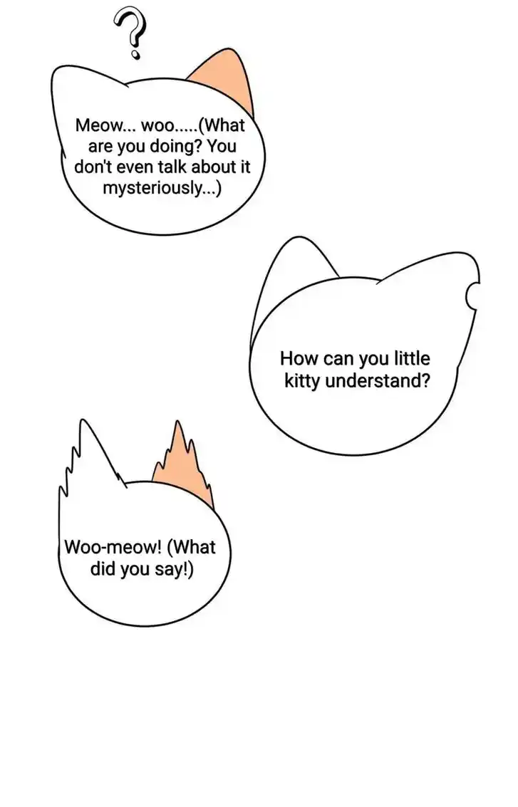 My Food Seems to Be Very Cute Ch.146