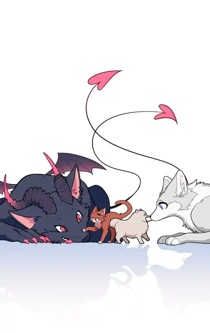 My Food Seems to Be Very Cute Ch.146