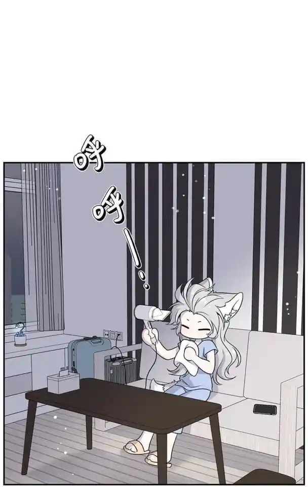 My Food Seems to Be Very Cute Ch.147