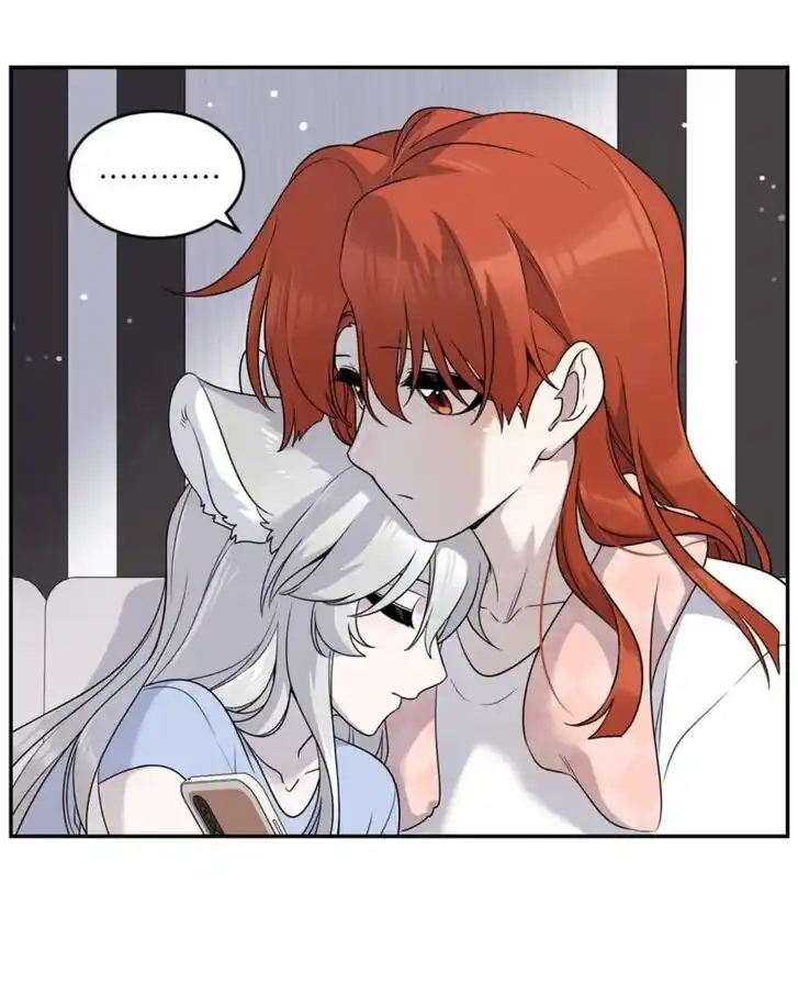 My Food Seems to Be Very Cute Ch.147