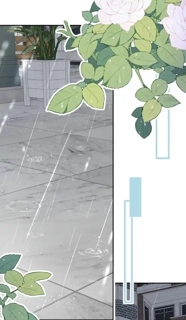 My Food Seems to Be Very Cute Ch.147