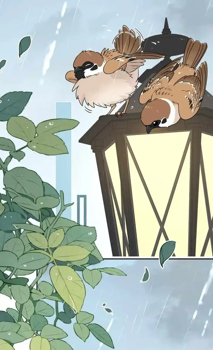 My Food Seems to Be Very Cute Ch.148