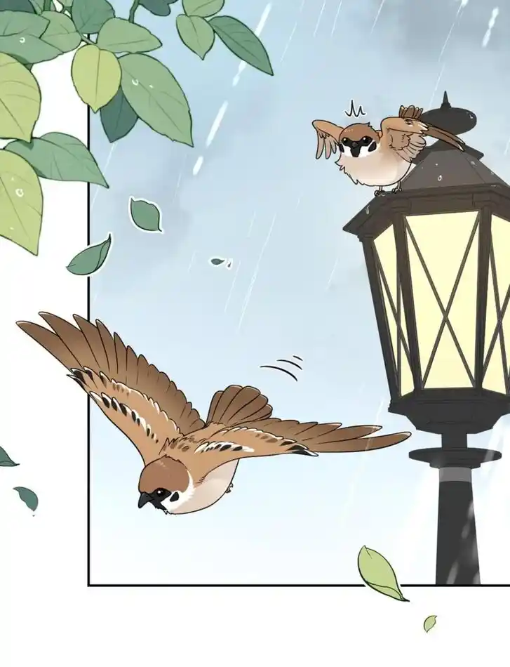 My Food Seems to Be Very Cute Ch.148