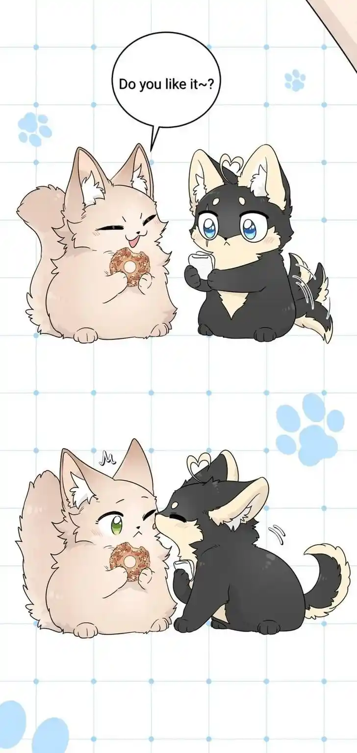 My Food Seems to Be Very Cute Ch.148